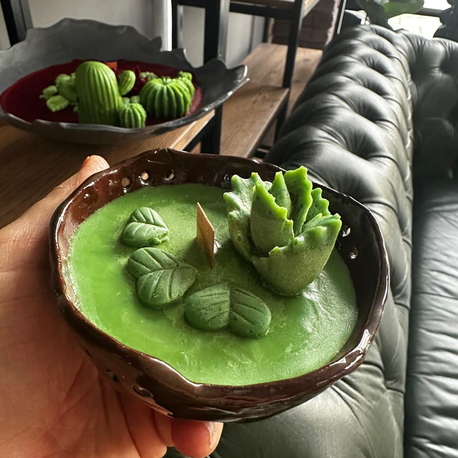 Kase Soya Mum -Sedir Ağacı