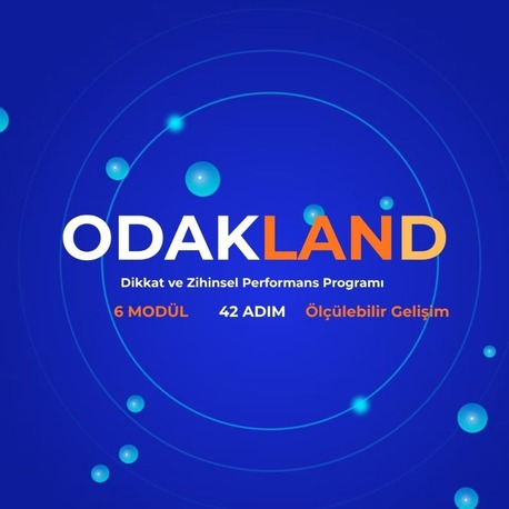 Odakland Dikkat Geliştirme Programı – 1 Görüşme