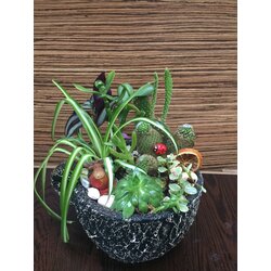 büyük fincan aranjman set seri 4