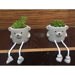 dekoratif sevimli saksıda succulent set