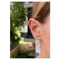 Kadın Cerrahi Çelik Silver Renkli Yıldız Tragus Piercing Kıkırdak