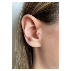 Kadın Cerrahi Çelik Rose Rengi Yıldız Tragus Piercing