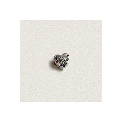 Renkli Charm