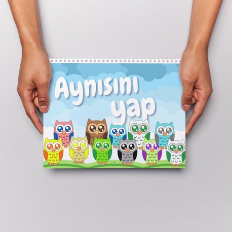  Aynısını Yap! - Baykuş Renk Eşleştirme Etkinliği