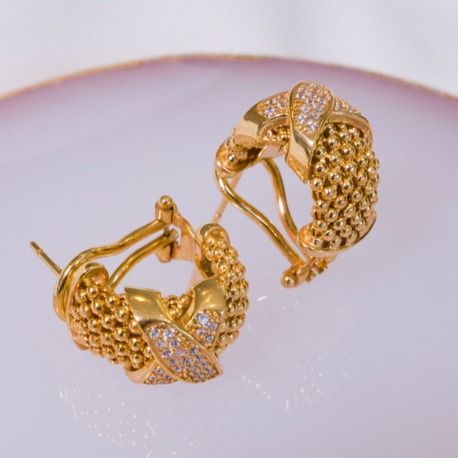 Golden Serpent Embrace Küpe