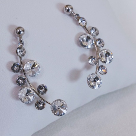 Silver Stone Branch Küpe