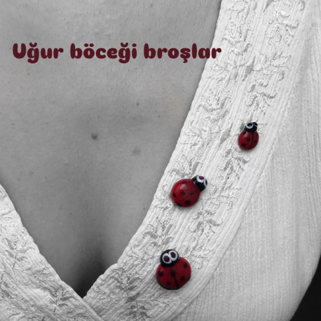 Uğur böceği broş.