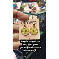 Mine çiçeği