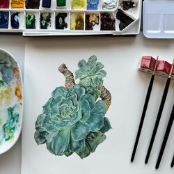 Echeveria Fine Art Poster (A4)