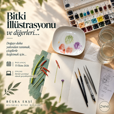 Bitki İllüstrasyonu Dersi 1.Ay (Aşama 1)
