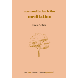 non-meditation is the meditation - Ecem Ardalı