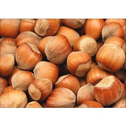 1 KG KABUKLU FINDIK