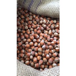 3 KG KABUKLU FINDIK 