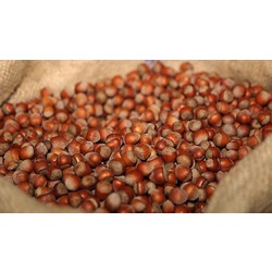 2 KG KABUKLU FINDIK