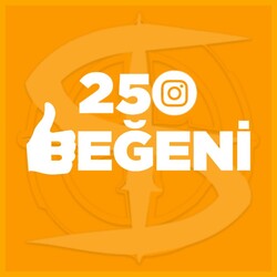 Instagram 250 Beğeni
