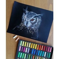 Baykuş soft pastel çalışması