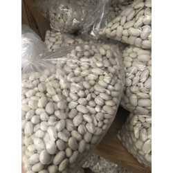 misket fasülye 500 gr 