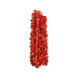 Dolmalık Kuru Biber (1 bağ)