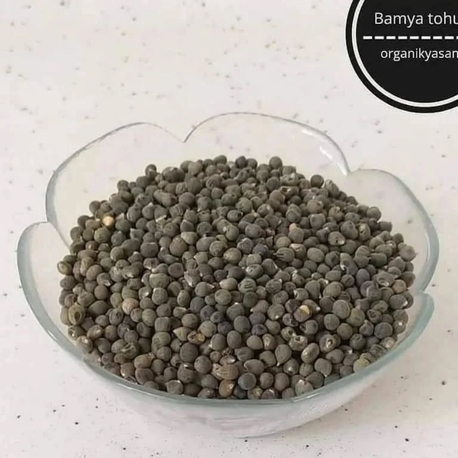 BAMYA TOHUMU 