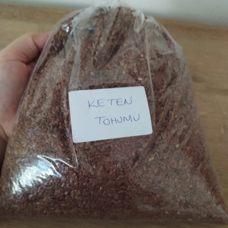 KETEN tohumu 