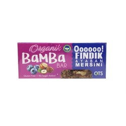 fındıklı yaban mersinli atıştırmalık