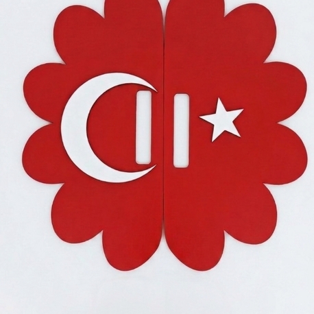 Gösteri ay yıldızlı plaka