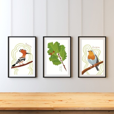3'lü Kartpostal Set