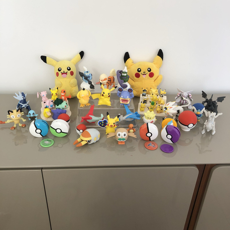 Pokemon Dev Set