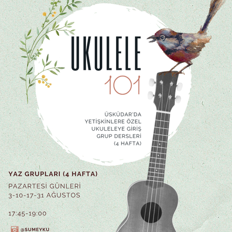 UKULELE 101