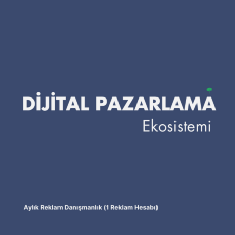 Aylık Reklam Danışmanlık (1 Reklam Hesabı)