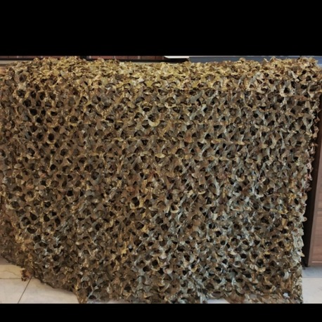 Gizlenme Ağı