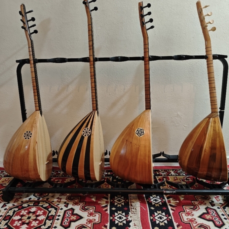 BAŞLANGIÇ SEVİYESİ KISA SAP DUT BAĞLAMALAR