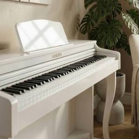 ALMEİRA ALC91 DİJİTAL PİYANO 