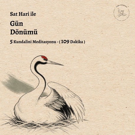 Sat Hari ile Gün Dönümü