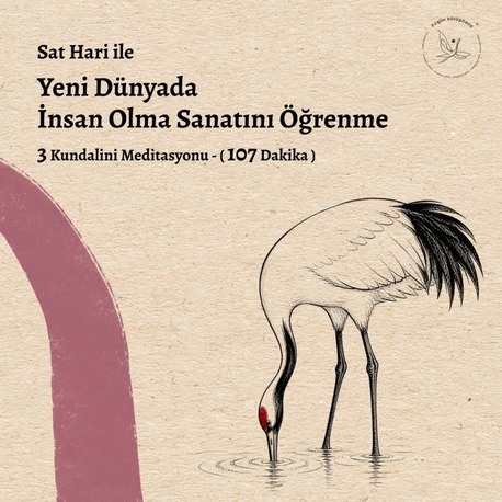 Yeni Dünyada İnsan Olma Sanatını Öğrenme