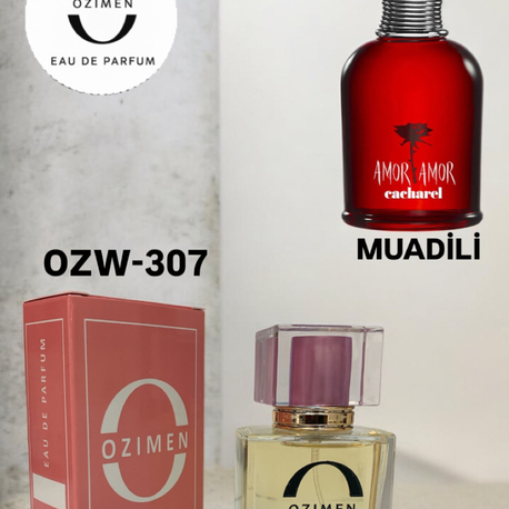 OZW-307 EDT