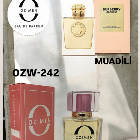OZW-242 EDT