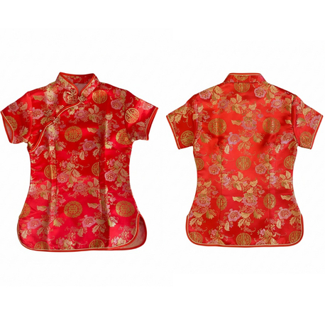 Qipao Çin Elbisesi