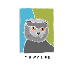 IT'S MY LIFE