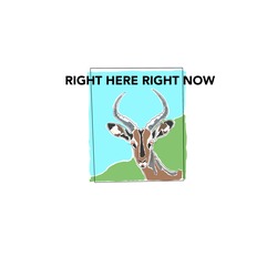 RIGHT HERE RIGHT NOW