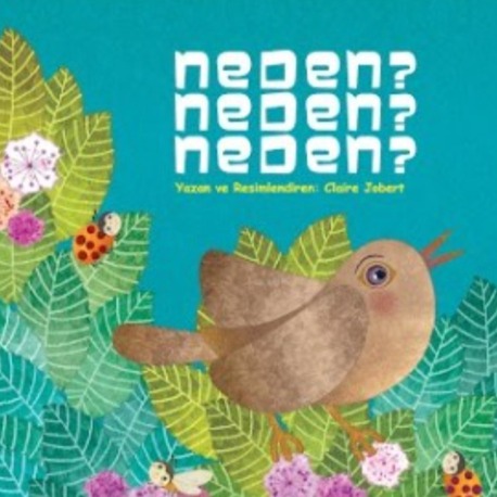 Neden Neden Neden?