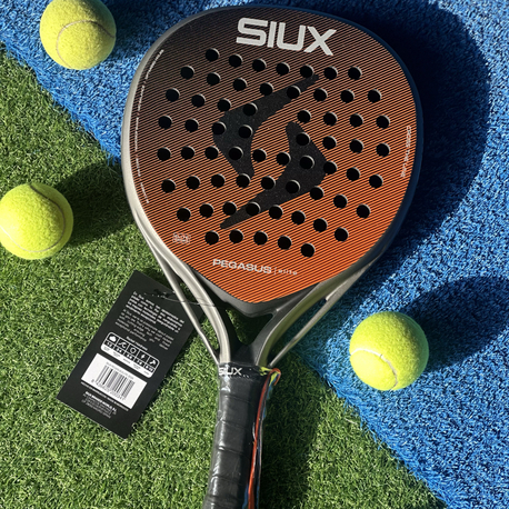 SIUX PEGASUS ELITE 4  2026