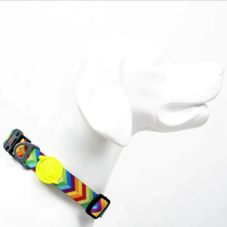 Rainbow Boyun Tasması