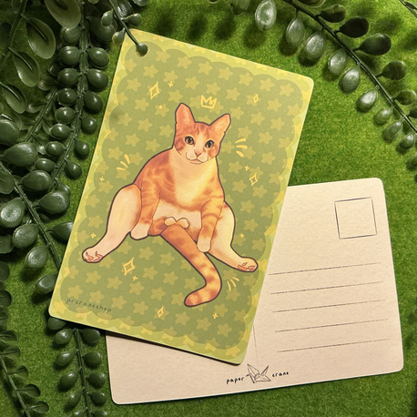 ''Keyif Kedy'' Postcard