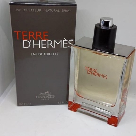 Terre Hermès Erkek