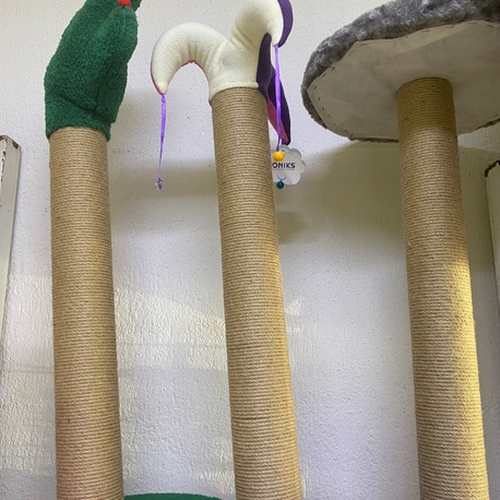 Kedi Tırmalama Tahtası Büyük Boy