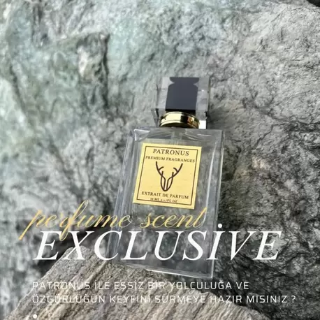 BLACK ORCHID - EXTRAİD DE UNİSEX PARFUM-50 ML