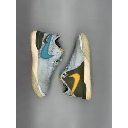 Nike Zoom LeBron NXXT Gen
