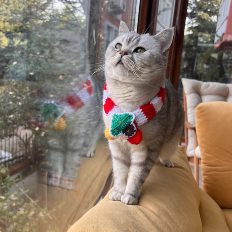 Ho Ho Ho Atkısı