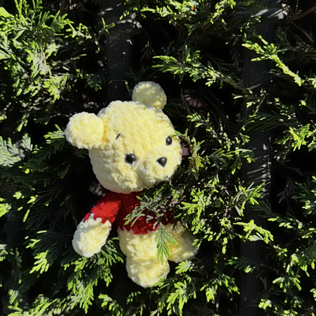 Bear Winnie 